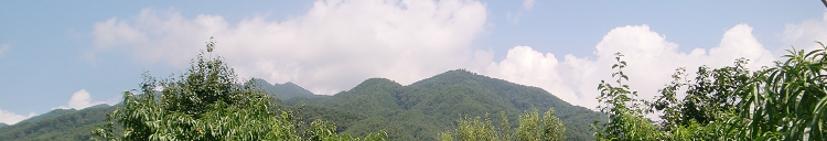 画像の説明 画像の説明